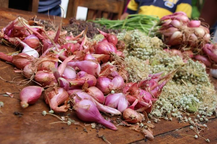 Preparativos listos para la Feria Anual de la Cebolla Ixil 2026